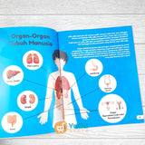 BUKU ORGAN TUBUH MANUSIA (AHLAN)