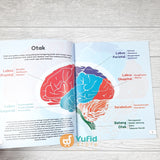 BUKU ORGAN TUBUH MANUSIA (AHLAN)