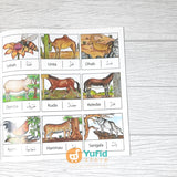 BUKU AYO MEWARNAI TEMA BINATANG SERI 8 (AT-TUQA KIDS)