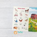 BUKU LOOK AND FIND 100 KATA PERTAMAKU (ADZKIA BOOK)