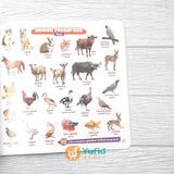 BUKU MY FIRST BOOK 600+ KATA PERTAMAKU - BIKIN SI KECIL CEPAT BICARA (PQS)