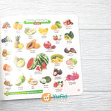 BUKU MY FIRST BOOK 600+ KATA PERTAMAKU - BIKIN SI KECIL CEPAT BICARA (PQS)
