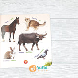 BUKU MY FIRST WORDS 100+ KATA PERTAMAKU - INDONESIA INGGRIS (ARAFAH KIDS)