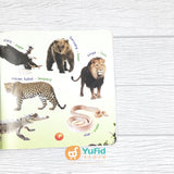 BUKU MY FIRST WORDS 100+ KATA PERTAMAKU - INDONESIA INGGRIS (ARAFAH KIDS)