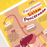 POSTER PERJALANAN SISTEM PENCERNAAN (KUN SHOLIHAN)