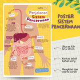 POSTER PERJALANAN SISTEM PENCERNAAN (KUN SHOLIHAN)