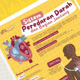 POSTER SISTEM PEREDARAN DARAH DAN BAGIAN JANTUNG (KUN SHOLIHAN)