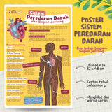 POSTER SISTEM PEREDARAN DARAH DAN BAGIAN JANTUNG (KUN SHOLIHAN)