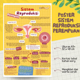 POSTER SISTEM REPRODUKSI PEREMPUAN (KUN SHOLIHAN)