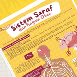 POSTER SISTEM SARAF DAN BAGIAN OTAK (KUN SHOLIHAN)