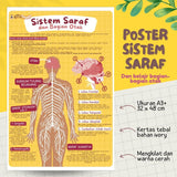 POSTER SISTEM SARAF DAN BAGIAN OTAK (KUN SHOLIHAN)
